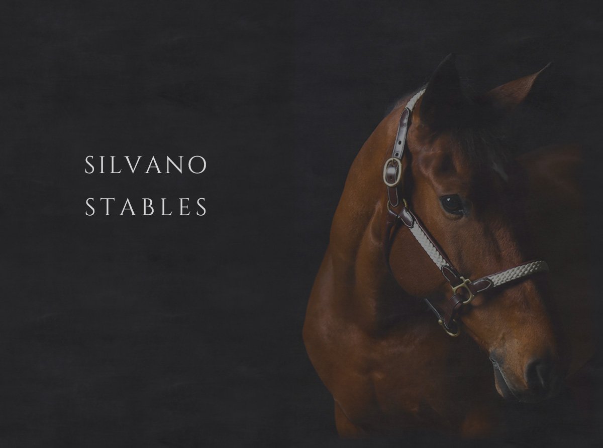 silvano stables/メイン画像