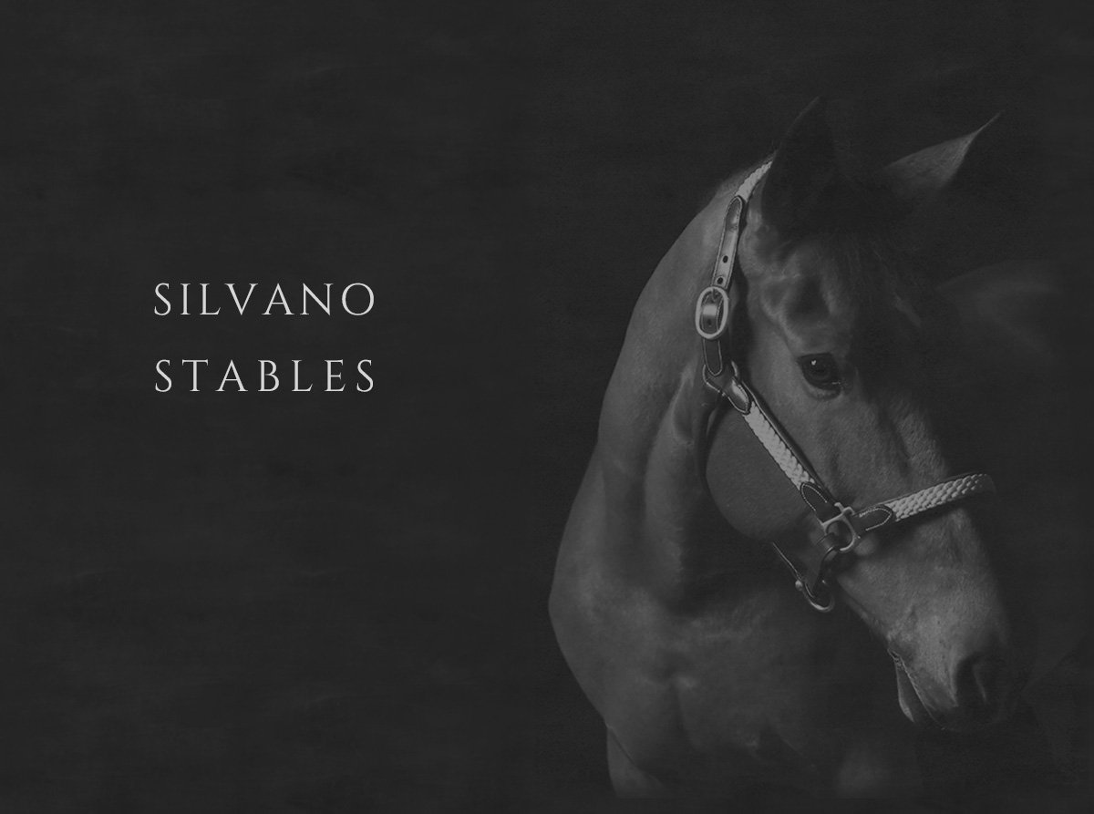 silvano stables/メイン画像