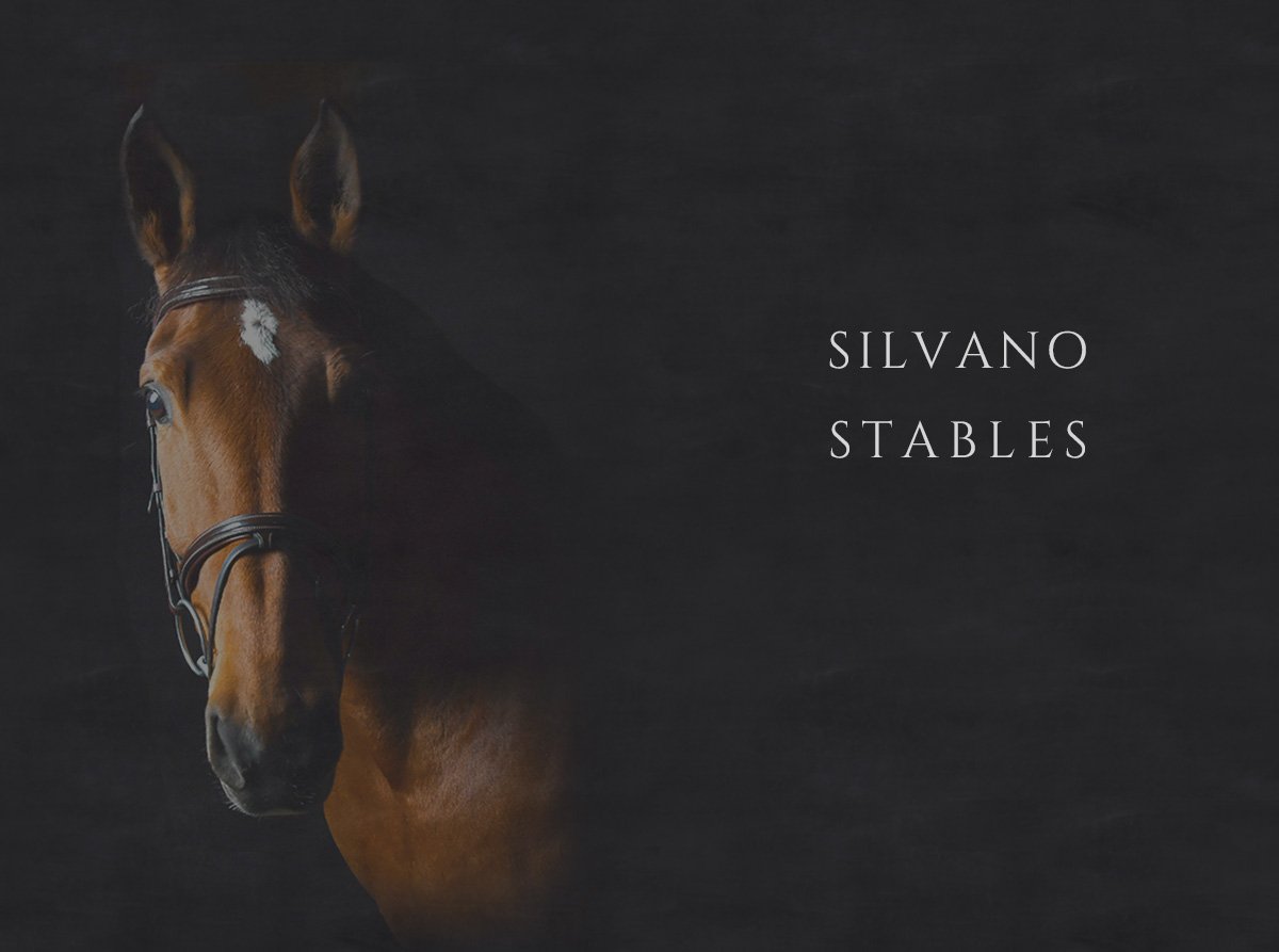 silvano stables/メイン画像