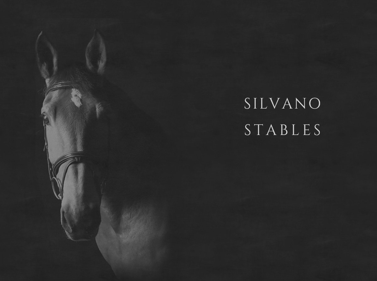 silvano stables/メイン画像