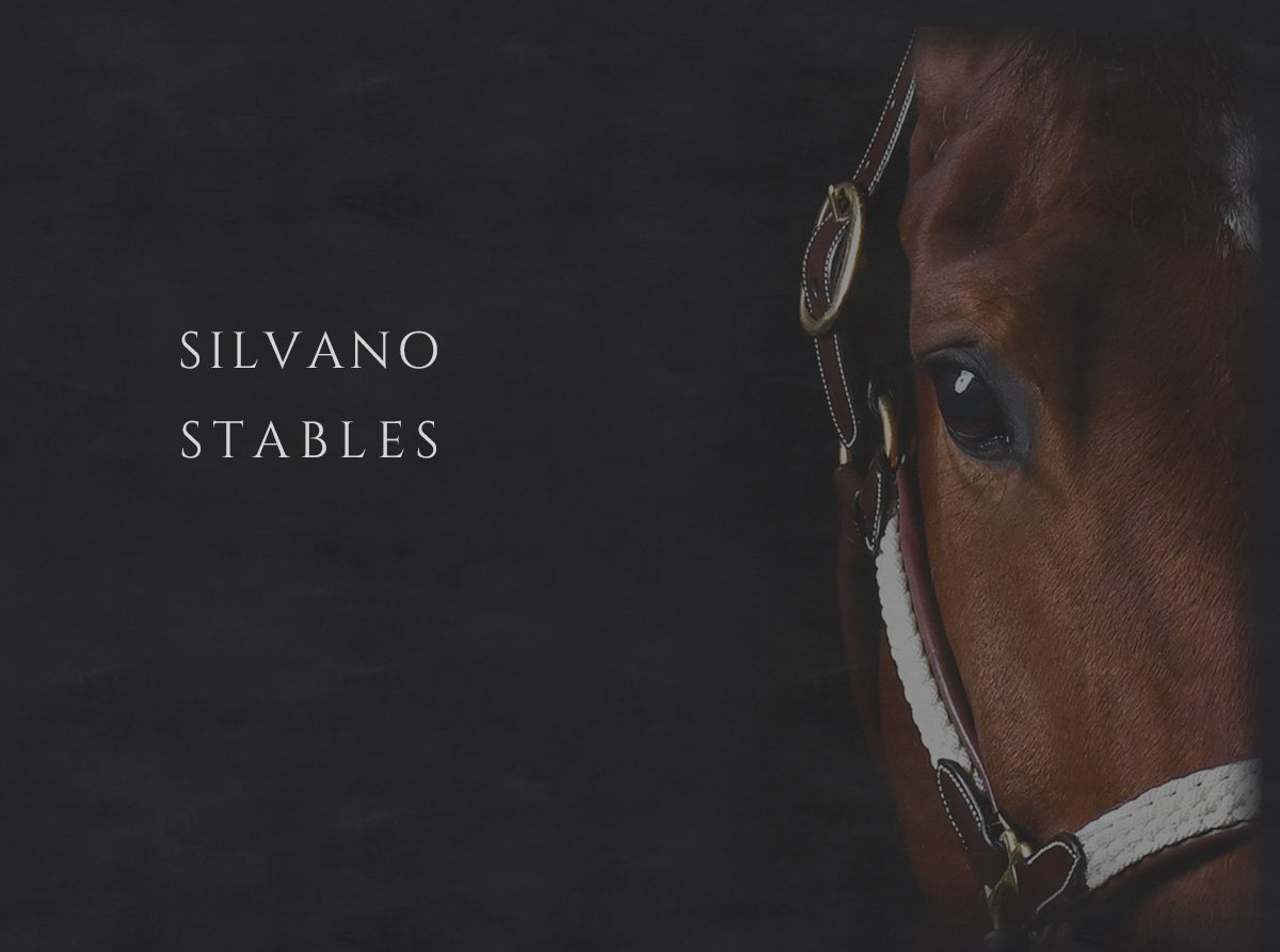 silvano stables/メイン画像