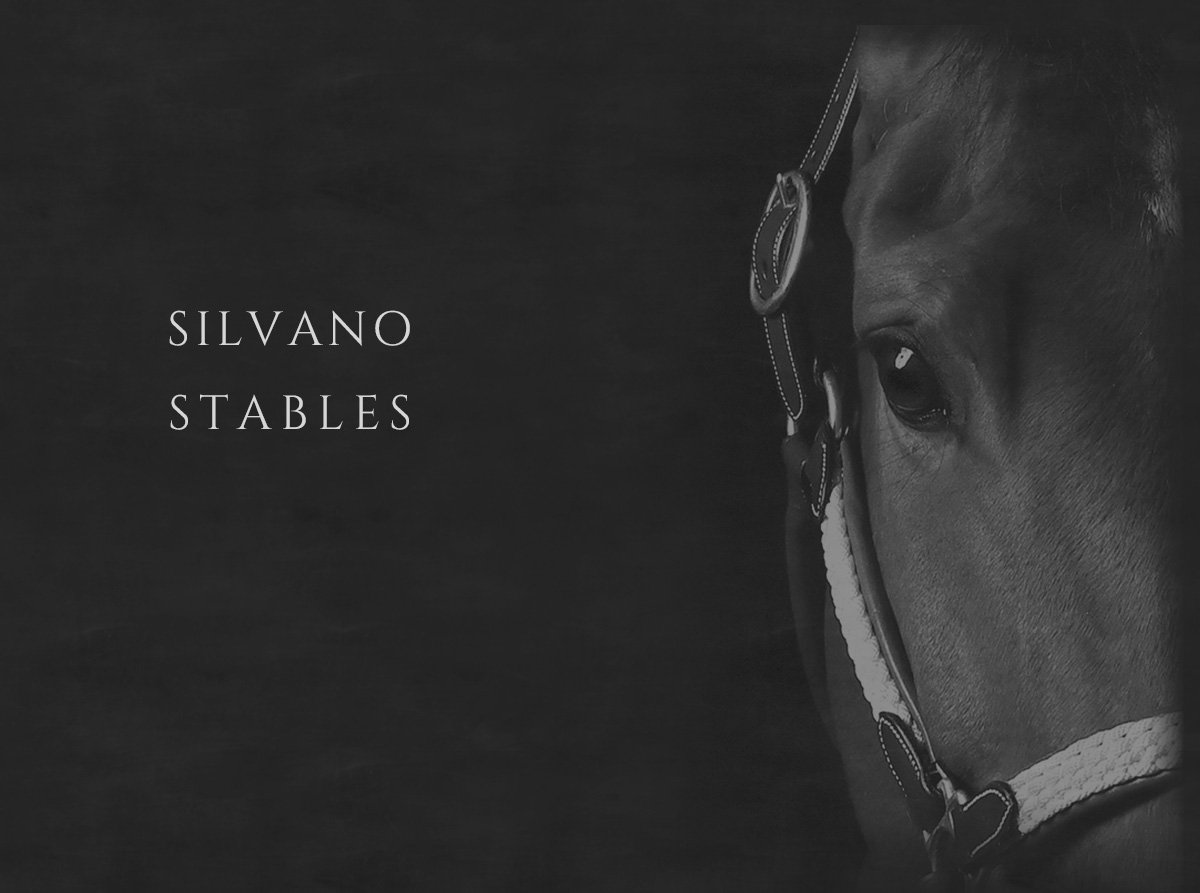 silvano stables/メイン画像